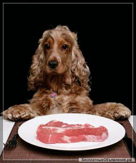 Натуральное отечественное мясо и субпродукты для собак и кошек