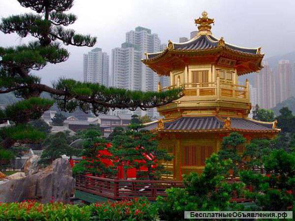 Репетитор по Китайскому языку