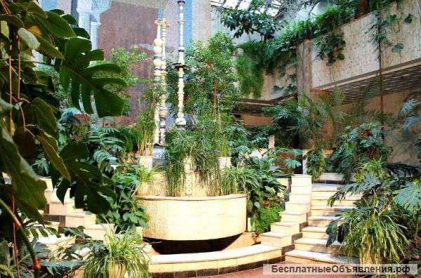 Сдается в аренду зимний сад