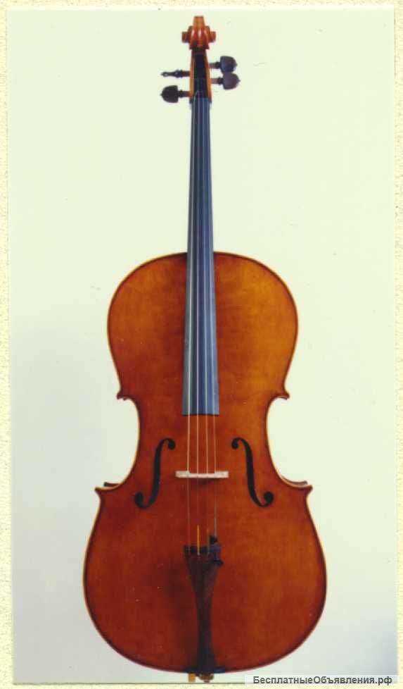 Преподаватель виолончели