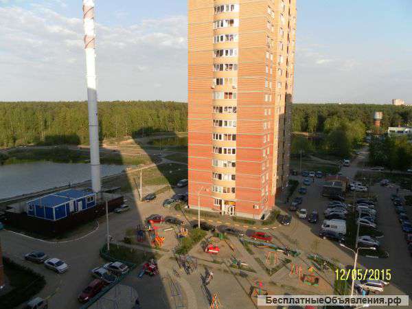 1 комн. квартира Неделина 26, 9/16