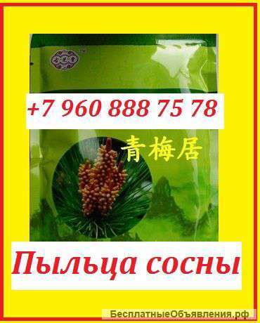 Пыльца сосны как в аптеке