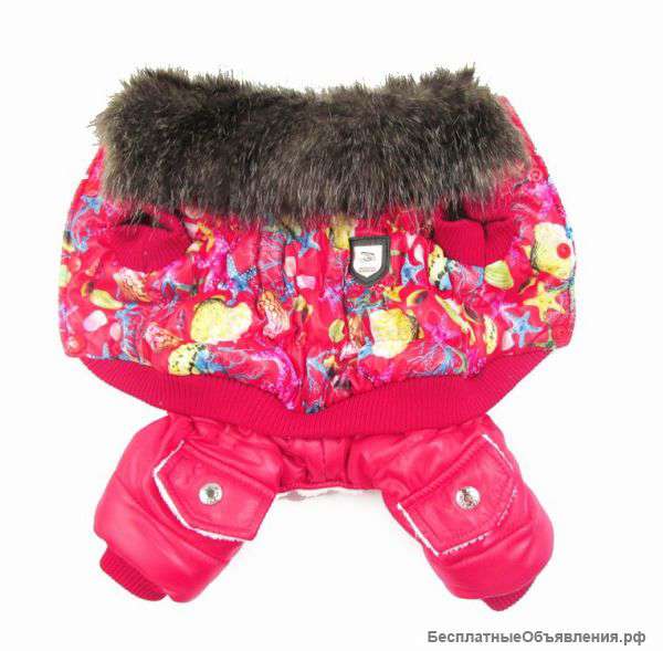 Одежда для маленьких собак