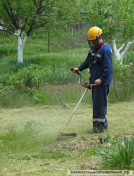 Расчистка участка, подворья, дачи, усадьбы