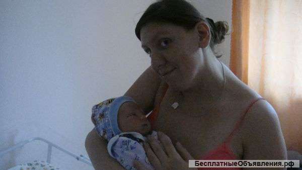 Очень прошу вас помочь