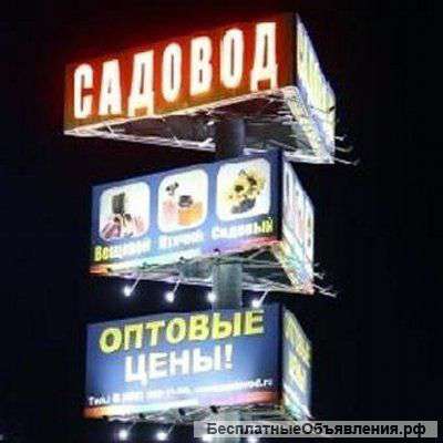 Оптовый поставщик одежды