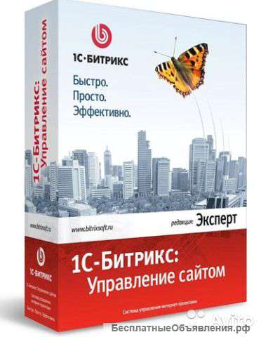 Создание сайтов