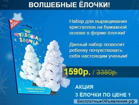 Волшебные ёлочки