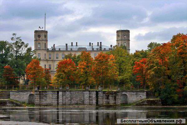 Требуется врач фтизиатр