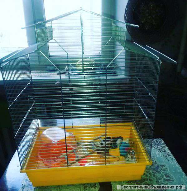 Большую клетку для попугая