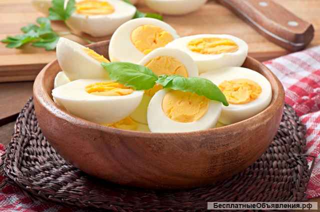 Яйцо куриное и мясо птицы