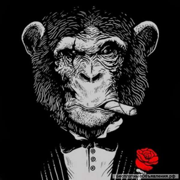 Материалы от Бизнес молодость