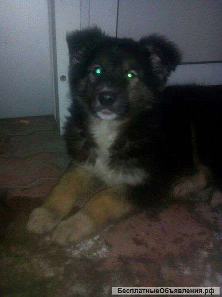 Нужна передержка или ручки этой очаровательной девочке Элли