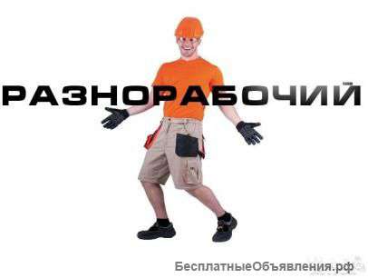 Опытные разнорабочие,подсобники гр.РФ