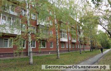 Сдам 1 комню в Академгородке