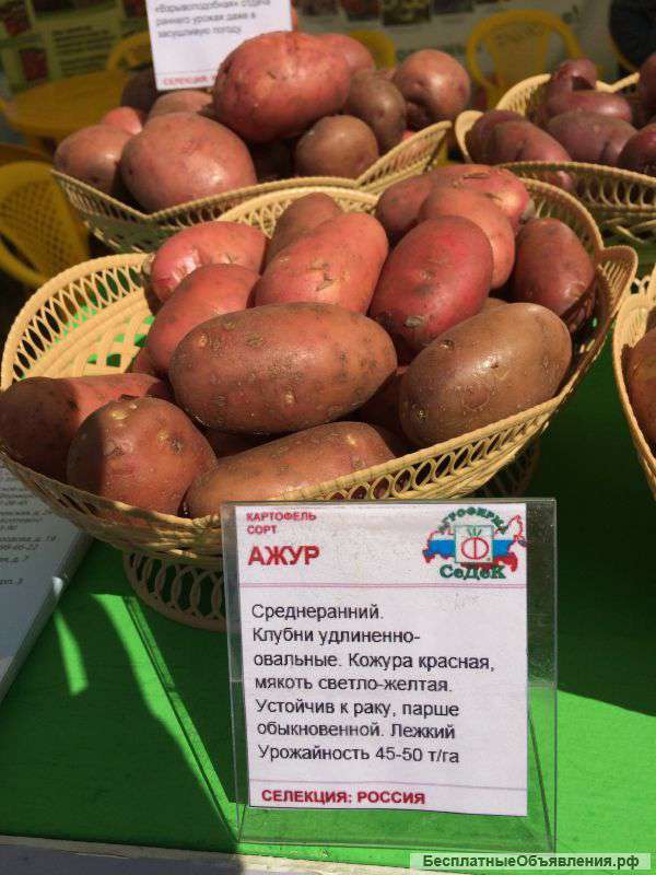 Весна,семена,урожай с вашей грядки