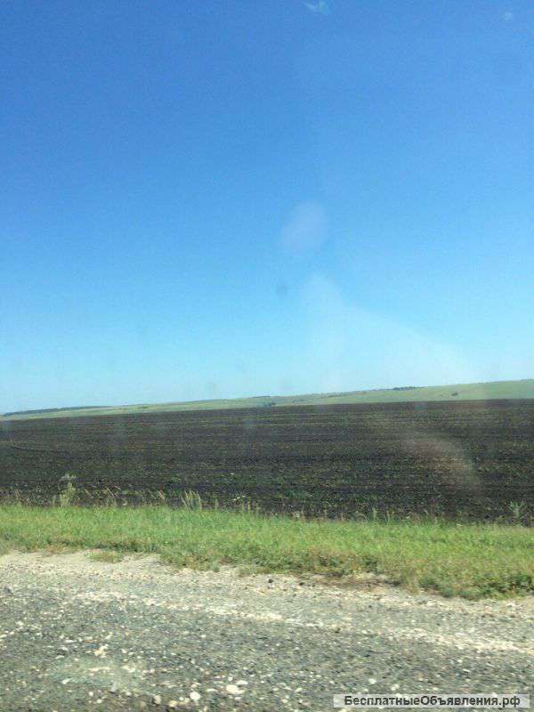 Земля сельхозназначения