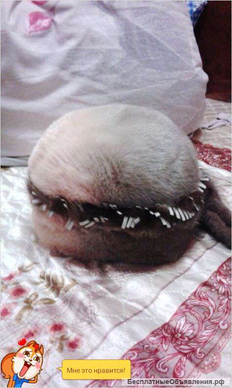 Шапка норковая