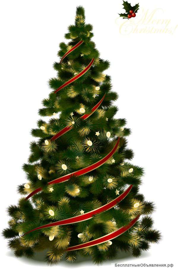 Доставим новогоднюю живую елку вам в дом