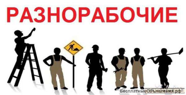 Любые виды работ