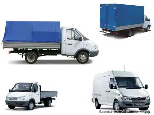 Валдай, бычок 3т