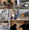 Требуется каскадер