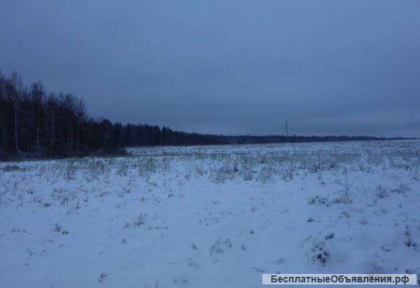 Земля сельхозназначения в деревне Надмошье 8,32га