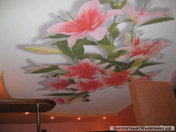 Натяжные потолки с фотопечатью