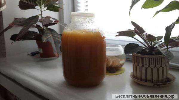 Крымский мёд (кориандровый, разнотравье)