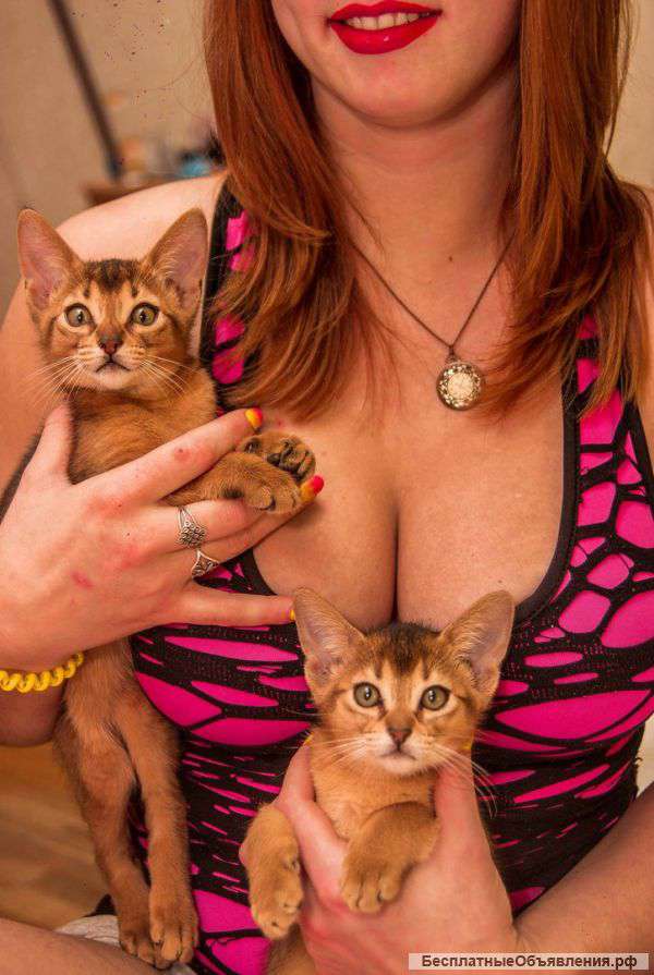 Царь, просто царь