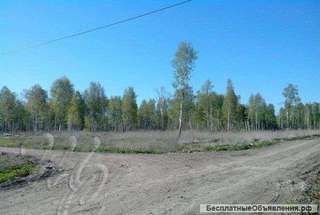 Участок 9 и 9 соток на Велижанском с лесом, обмен
