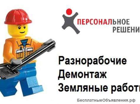 Рабочая сила (круглосуточно) все гр.России