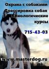 Курс дрессировки, охрана с собаками