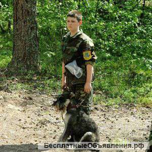 Клуб Юный Кинолог