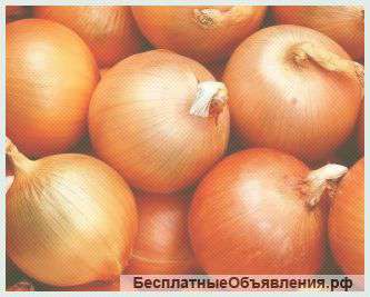 Лук оптом от фермера