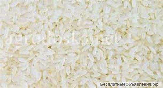 Рис круглый Краснодарский. Сбор 2015г.