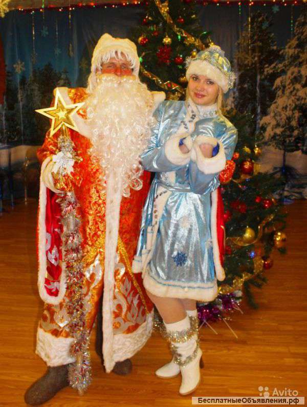Дед Мороз и Снегурочка на дом