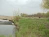Участок берег Дона расположенный в красивейшем уголке Азовского р-на