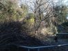 Участок в тихом месте г. Ялта п.Восход 8сот.