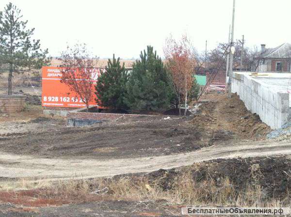 Посадка деревьев крупномеров
