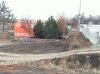 Посадка деревьев крупномеров