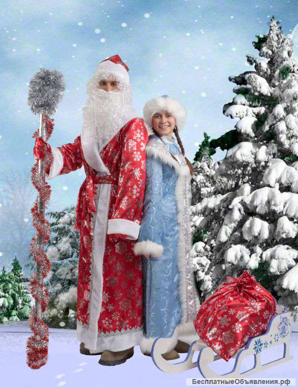Дед Мороз и снегурочка на дом