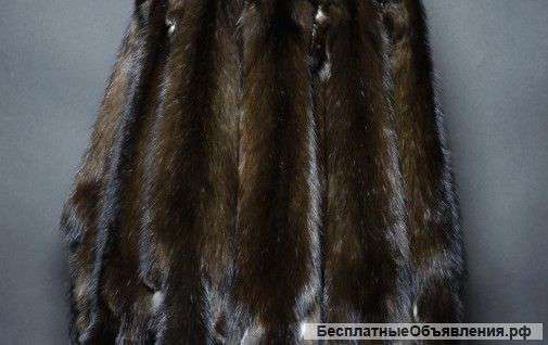 Шкурки соболя