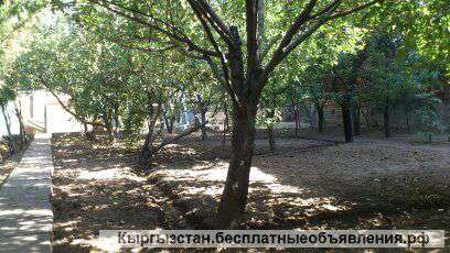 Сдаю 2х этажный особняк р-н Фрунзе/Буденного