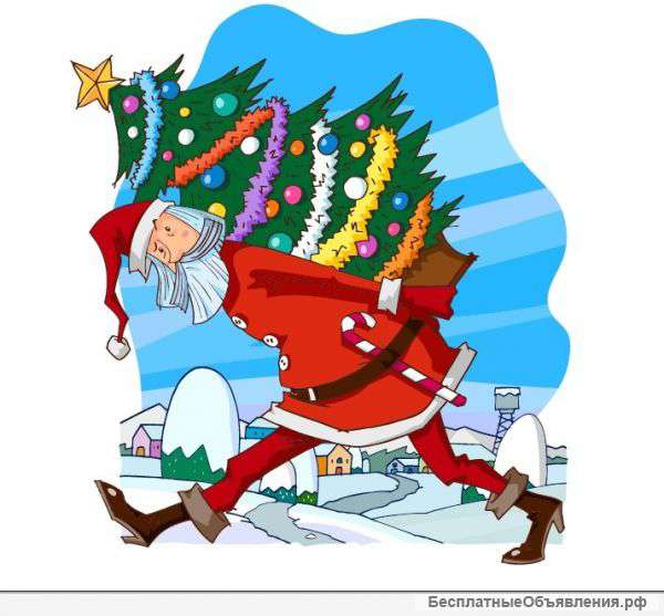 Новогодние живые елочки с доставкой на дом