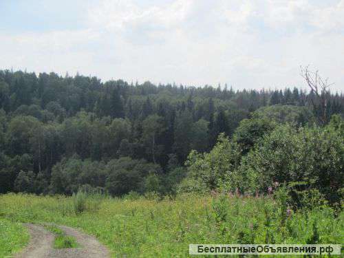 Лесной участок