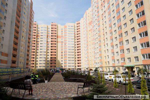 1-комнатную квартиру с ремонтом