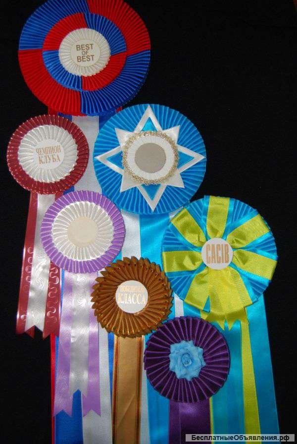 Наградные розетки