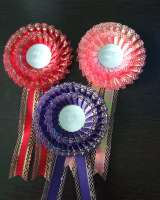 Наградные розетки