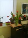 Собственник Сдаю дом 35кв.м